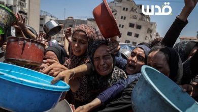 أمنستي: الاحتلال يرتكب جريمة إبادة جماعية بتجويع الفلسطينيين وعلى العالم فرض العقوبات