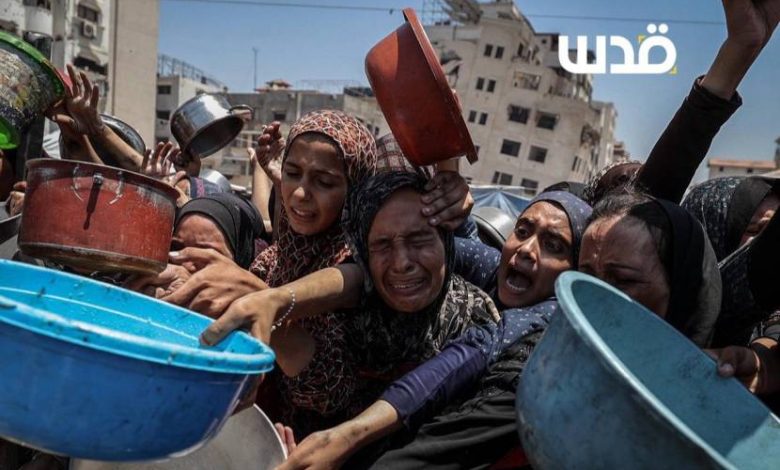 أمنستي: الاحتلال يرتكب جريمة إبادة جماعية بتجويع الفلسطينيين وعلى العالم فرض العقوبات