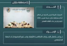 إحباط تهريب 200 كيلوجرام من نبات القات بمنطقة جازان