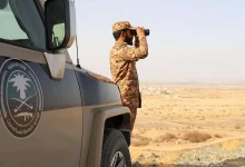 إحباط تهريب 25 كيلوجرامًا من  القات المخدر في جازان