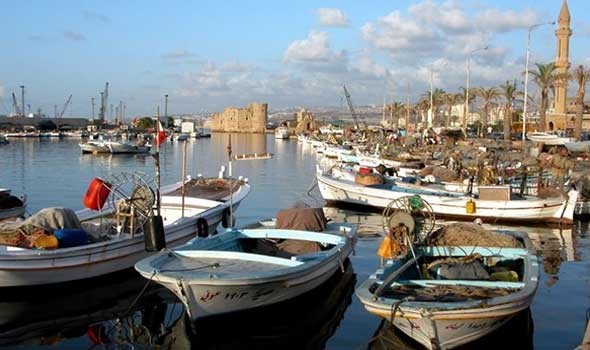 ارتفاع جديد مرتقب في أسعار السمك بالمغرب بسبب قلة السردين