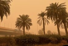 «الأرصاد»: رياح حارة ونشطة السرعة مثيرة للغبار حتى الأربعاء