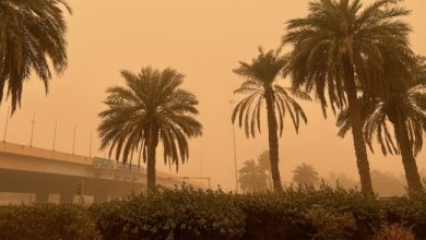 «الأرصاد»: رياح حارة ونشطة السرعة مثيرة للغبار حتى الأربعاء
