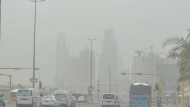 «الأرصاد»: رياح مثيرة للغبار اليوم.. وتهدأ تدريجياً الاثنين
