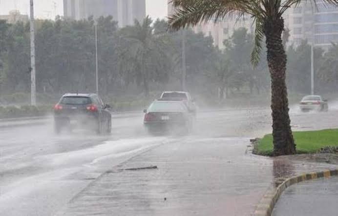 الأرصاد: منخفض جوي نادر سبب التقلبات الجوية الحالية
