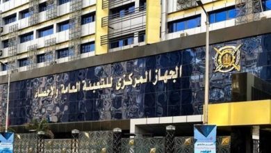 الإحصاء يصدر الإصدار الجديد من كتيب مصر في أرقام 2025