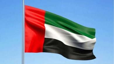 الإمارات ترحب بإعلان فرنسا عزمها الاعتراف بالدولة...