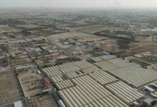 «الراي» تنشر أبرز اشتراطات لائحة البناء في المناطق الزراعية ومناطق الثروة الحيوانية