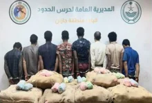 القبض على 8 مخالفين بجازان لتهريبهم 220 كيلوجرامًا من القات