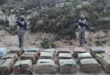القبض على مخالفين لنظام أمن الحدود لتهريبهما 180 كيلوجرامًا من القات بجازان