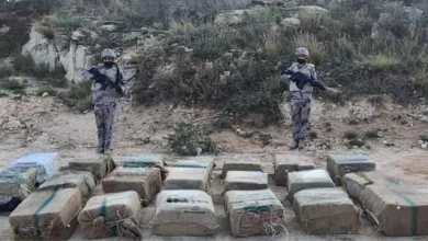 القبض على مخالفين لنظام أمن الحدود لتهريبهما 180 كيلوجرامًا من القات بجازان
