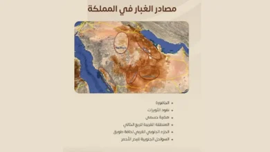 "المركز الإقليمي للعواصف" يكشف أبرز مناطق ومصادر تكوُّن الغبار في المملكة