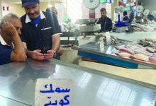 الميد... فين؟ - الراي