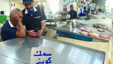الميد... فين؟ - الراي