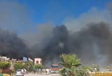 النيابة تُخلي سبيل متهمين في واقعة احتراق 96 مركبة داخل حضانات البتروكيماويات بالإسكندرية