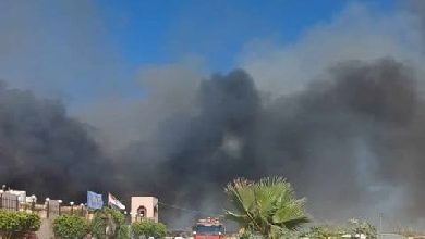 النيابة تُخلي سبيل متهمين في واقعة احتراق 96 مركبة داخل حضانات البتروكيماويات بالإسكندرية