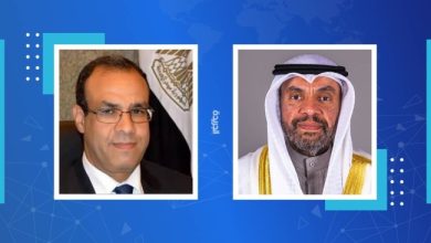 اليحيا بحث مع نظيره المصري التطورات الإقليمية
