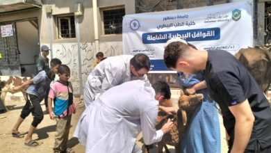 جامعة دمنهور تطلق قافلة تنموية شاملة بقرية القافلة في أبو حمص لدعم الصحة والتعليم والزراعة
