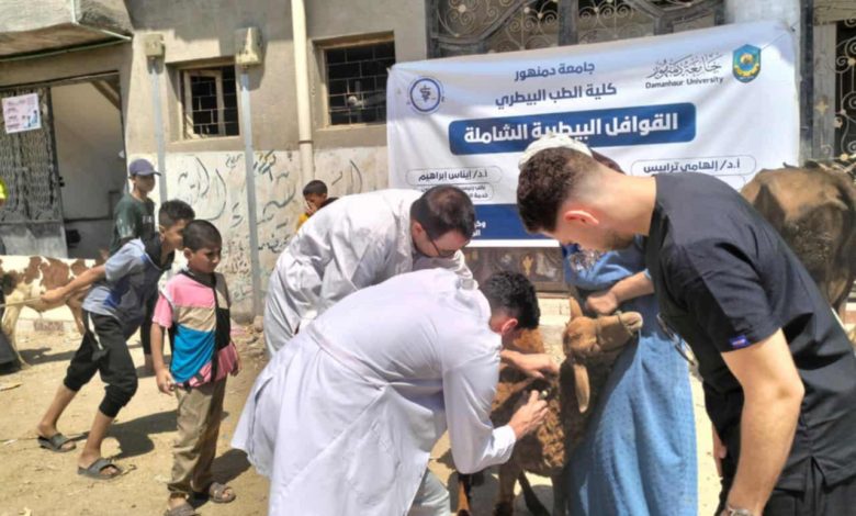 جامعة دمنهور تطلق قافلة تنموية شاملة بقرية القافلة في أبو حمص لدعم الصحة والتعليم والزراعة