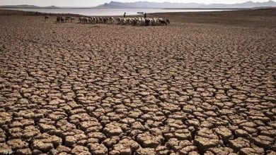 جفاف غير مسبوق يضرب لبنان ويُوقف محطات الطاقة على نهر الليطاني
