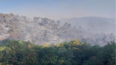 "جمعية البيئة" تعرب عن قلقها من تكرار حوادث حرائق الغابات...