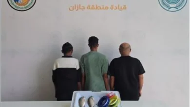 حرس الحدود بجازان يضبط 3 مخالفين للائحة الأمن والسلامة لمزاولي الأنشطة البحرية