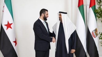 رئيس الدولة يستقبل الرئيس السوري