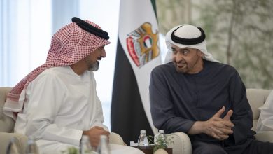 رئيس الدولة يستقبل عمار بن حميد في قصر البحر في أبوظبي