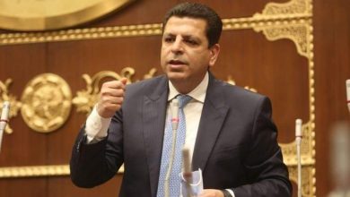 رئيس برلمانية المصري الديمقراطي: نرفض قانون الإيجار القديم.. ونطالب بحذف المادة الثانية