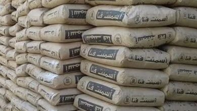 شعبة مواد البناء: تدخل الفريق كامل الوزير أدى لانخفاض أسعار الأسمنت بعد تعطيل الشركات خطوط الإنتاج