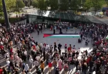 صحيفة عبرية: الاحتلال يواجه "تسونامي دبلوماسي" بسبب حرب الإبادة والتجويع في غزة