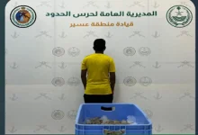 ضبط مقيم مخالف للائحة الأمن والسلامة لمزاولي الأنشطة البحرية بعسير
