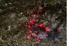 ضبط مواطن لإشعاله النار في أراضي الغطاء النباتي بمنطقة حائل