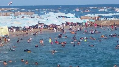 طقس الإسكندرية اليوم.. شديد الحرارة ونشاط للرياح مع ارتفاع موج البحر