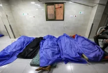 عاجل ترامب: فرصة جيدة للتوصل إلى اتفاق بشأن هدنة في غزة هذا الأسبوع