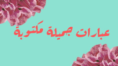 فن العبارات كلمات و رسائل الصباح و المساء