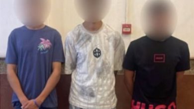 فيديو ركل فتاة بالإسكندرية.. الداخلية تضبط 3 متهمين بضربها وتصوير المقطع لتحقيق الأرباح
