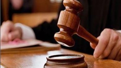 للمرافعة.. تأجيل محاكمة متهمين بقتل شخص في الطالبية لـ 15 سبتمبر