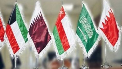 مجلس التعاون الخليجي يدين الغارات الإسرائيلية على سوريا ويصفها بانتهاك للسيادة وتهديد للاستقرار الإقليمي