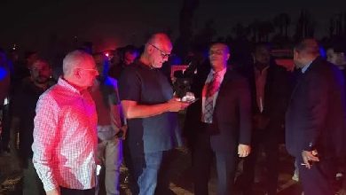 محافظ القليوبية ومدير الأمن يتابعان جهود إخماد حريق زراعات النخيل بالخانكة
