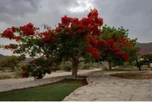 محافظة بدر الجنوب.. وجهه سياحية تنبض بالحياة والجمال وتفتح أبواب الاستثمار