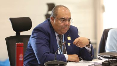 محمود محيي الدين: على مصر توسيع علاقاتها إفريقيا وآسيويا لأن اقتصادها المحلي لا يكفي
