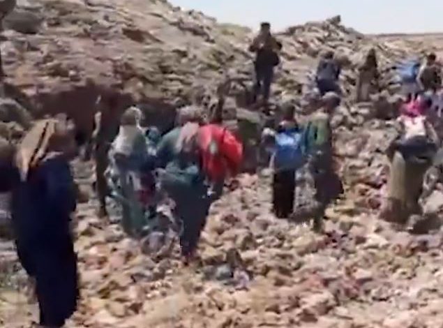 مسؤول أمني في السويداء: إطلاق سراح المحتجزين من البدو خلال ساعات