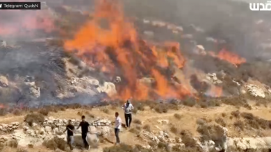 مستوطنون يحرقون أراضٍ بسنجل ويقيمون بؤرًا تحت حماية جيش الاحتلال