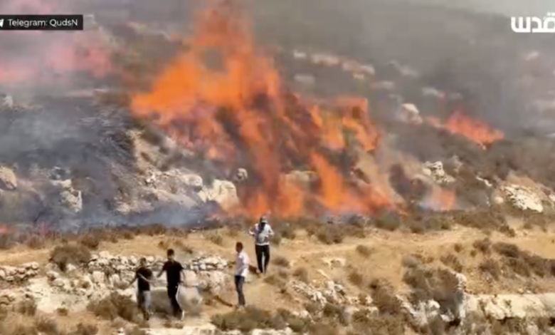 مستوطنون يحرقون أراضٍ بسنجل ويقيمون بؤرًا تحت حماية جيش الاحتلال