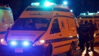مصرع 3 أشخاص إثر اصطدام قطار بهم من مكان غير مخصص للعبور بطوخ