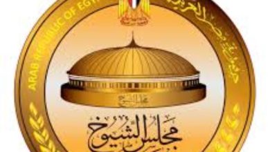أرشيفية