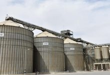 وزير الزراعة: إدخال الميكنة الحديثة ساهم في مضاعفة إنتاج القمح