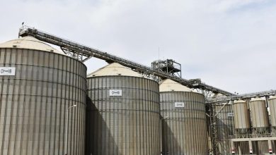 وزير الزراعة: إدخال الميكنة الحديثة ساهم في مضاعفة إنتاج القمح