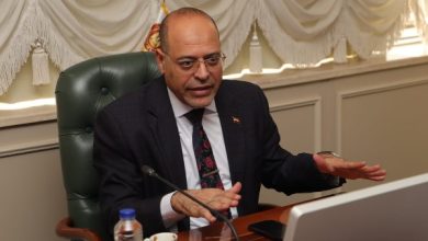 وزير العمل: أي عامل بلا عقد سيُعتبر دائما.. والأجنبي لن يعمل إلا بتصريح
